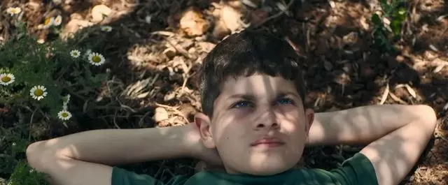 以色列电影国际参展受阻，文化资金政策引发行业转向 | 资讯配图